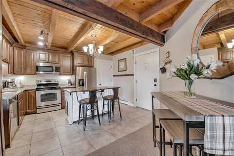 8500 RYAN GULCH ROAD, Silverthorne, CO 80498