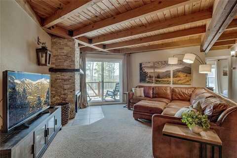 8500 RYAN GULCH ROAD, Silverthorne, CO 80498