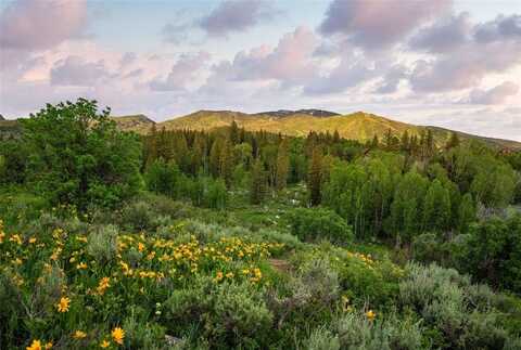 TBD ANGLERS POND, Steamboat Springs, CO 80487