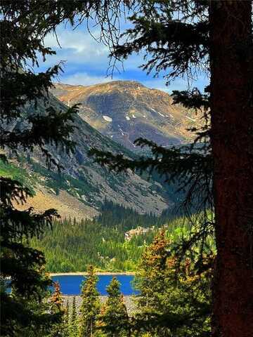 868 NUTHATCH DRIVE, Alma, CO 80420