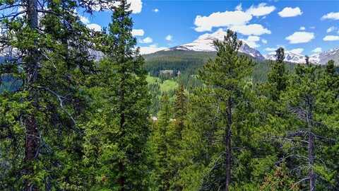 1013 RANGE ROAD, Breckenridge, CO 80424