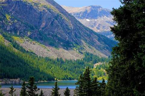 211 GOLDFINCH PLACE, Alma, CO 80420