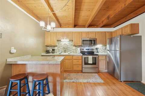 4200 LODGE POLE CIRCLE, Silverthorne, CO 80498