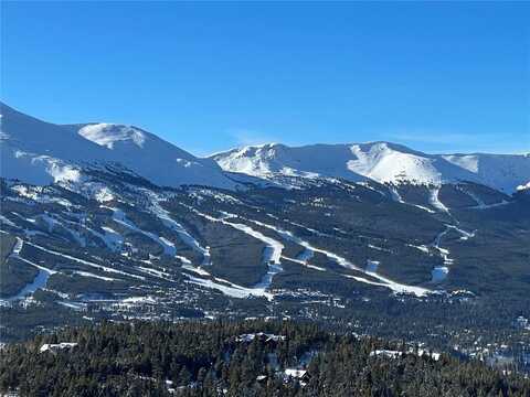 316 N FULLER PLACER ROAD, Breckenridge, CO 80424
