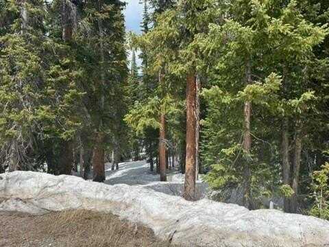 584 CAMRON LANE, Breckenridge, CO 80424