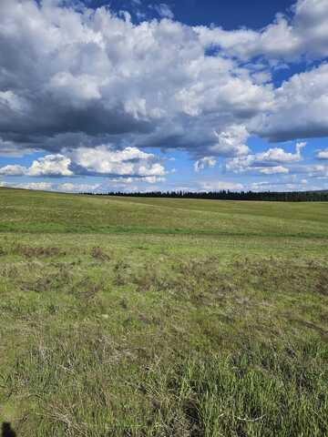 52xx Wagner Lot A Rd, Springdale, WA 99173