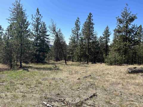 Nna Corkscrew Canyon Rd, Tumtum, WA 99034