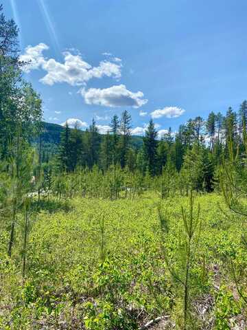 Tbd W Joyner Dr, Cusick, WA 99119