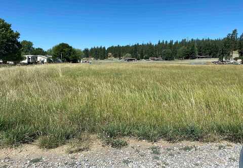 99999 E Dalke Ave, Newman Lake, WA 99027