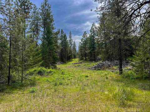 20xx Clemons Rd, Rice, WA 99167