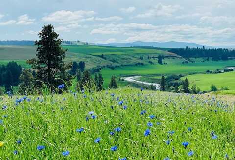 11900 Hays Rd, Spangle, WA 99031