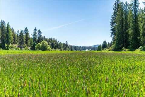Hwy 211, Newport, WA 99156