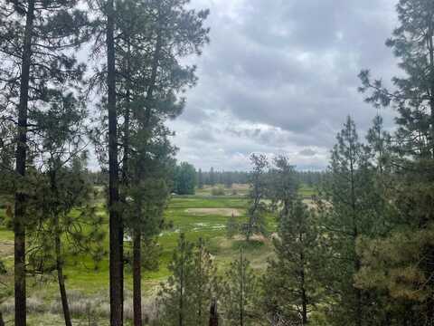 Xxx S Cheney Plaza Rd, Cheney, WA 99004