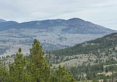 8xx Upper Reevas Basin Rd, Other, WA 98855