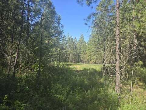 3418 Kingsbury Lake Way, Kettle Falls, WA 99141