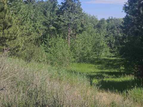 W Orchard Heights 14242.0172&14242.0175 Rd, Cheney, WA 99004