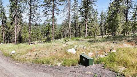 Nka Lower Weaver Lot C Way, Deer Park, WA 99006