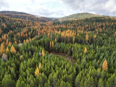 Tbd Schlegel Ranch Lot 11 Rd, Ione, WA 99139