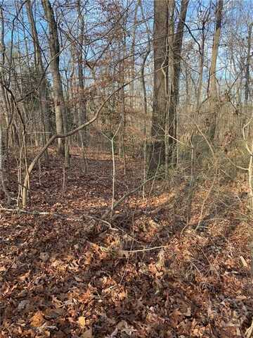 00 S Tanglewood Drive, Royston, GA 30662
