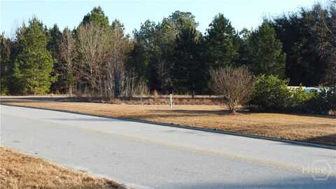0 SR-21 Highway S, Springfield, GA 31329