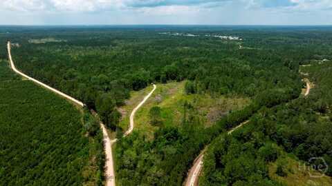 0 Luke Rd. & Habersham Road, Midway, GA 31320