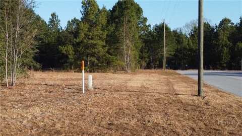 0 SR-21 Highway S, Springfield, GA 31329