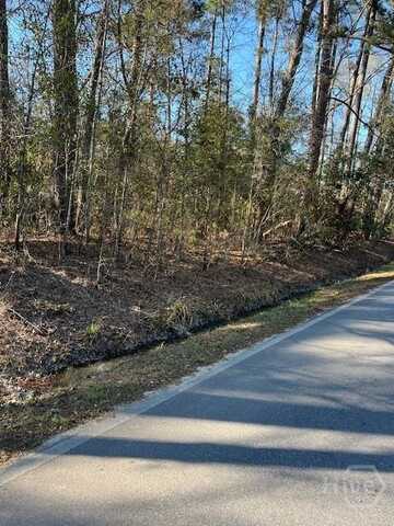 0 South Pine Street, Bloomingdale, GA 31302