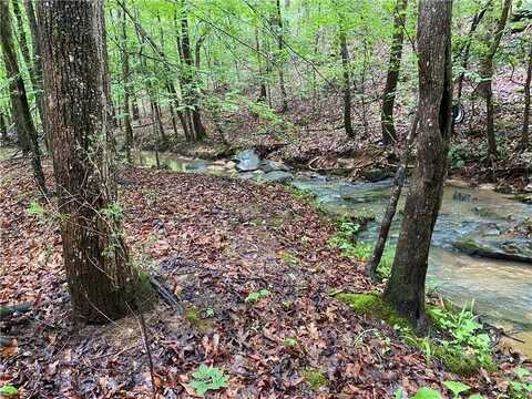 0 Far-A-Way Road, Elberton, GA 30635