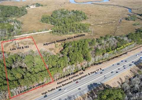 0 Abercorn Street Extension, Savannah, GA 31419