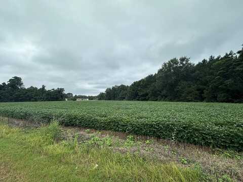 00 Bass Drive, Santee, SC 29142