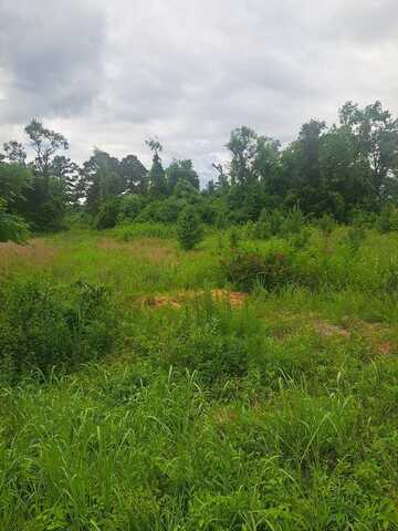 3941 Hillbilly Way (Tract 2), Mc Bee, SC 29101