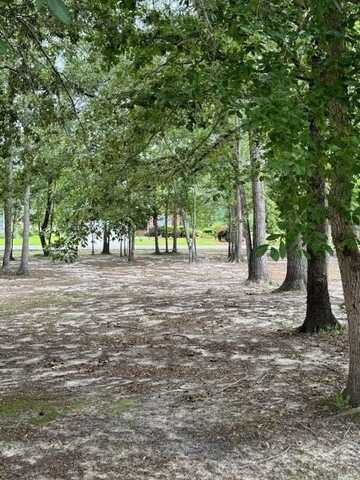 813 Bentwood Circle, Manning, SC 29102