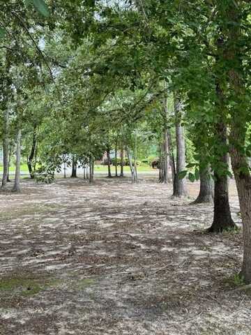813 Bentwood Circle, Manning, SC 29102