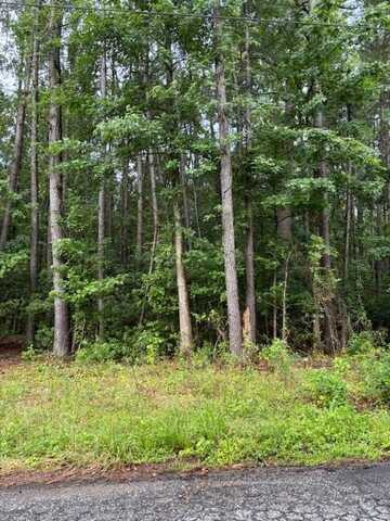 226 Wilson Street, Sumter, SC 29150