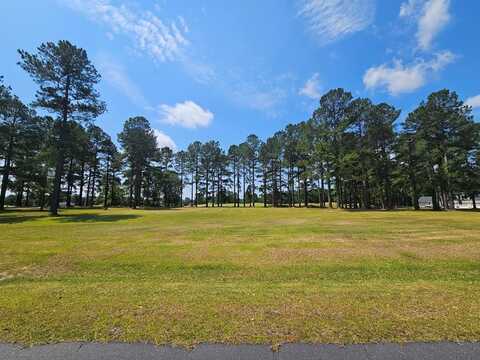 423 Pinelake Court, Manning, SC 29102