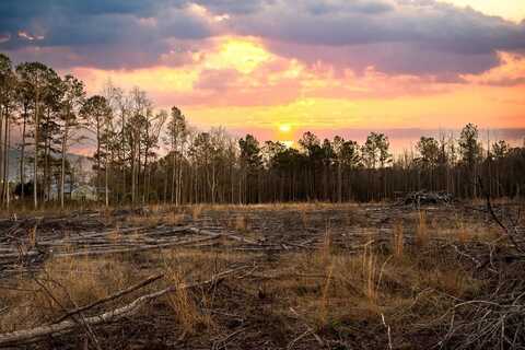 TBD Old Tram Road, Conway, SC 29527