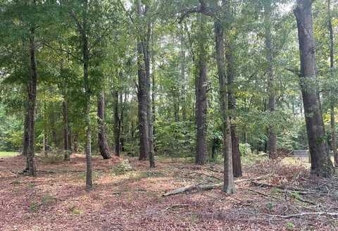 0 Gin Pond Dr., Summerton, SC 29048
