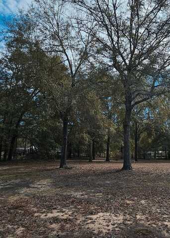 TBD Princess Pond, Summerton, SC 29148