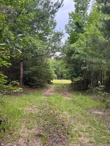 7082 Mw Rickenbaker Road, Summerton, SC 29148