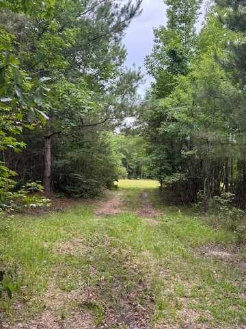 7082 MW Rickenbaker Rd, Summerton, SC 29148