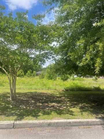 Lot 1C 579 Constitution Drive, Sumter, SC 29150