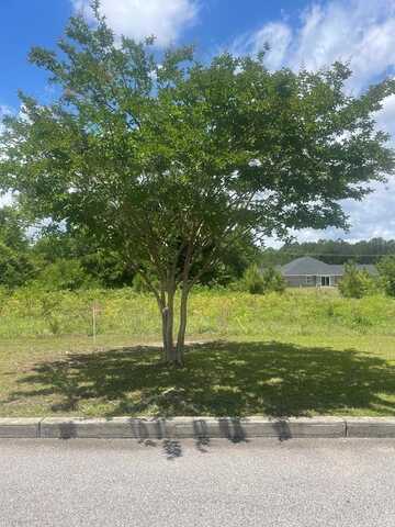 Lot 1 B 585 Constitution Drive, Sumter, SC 29150
