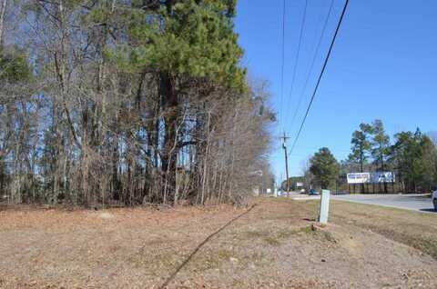 0 Williams Acres Lane, Manning, SC 29102