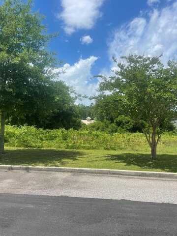 Lot 1A 589 Constitution Drive, Sumter, SC 29150