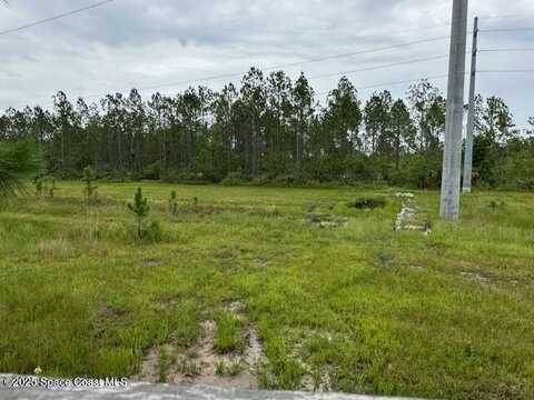 0000 D Johnson, Mims, FL 32754