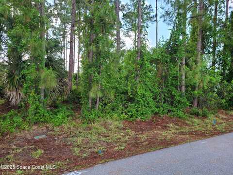 875 Cochran Road SE, Palm Bay, FL 32909
