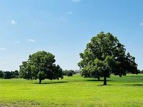 216 Winn Haven - Lot 20, Round Top, TX 78954