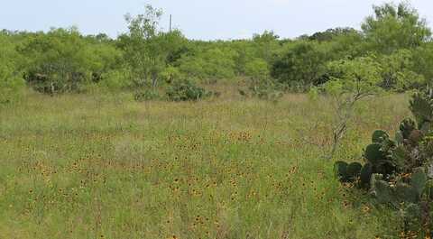 TBD CR 451, Waelder, TX 78959