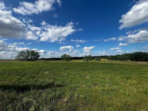 Lot 7 HIGH MEADOW COURT EAST, Schulenburg, TX 78956