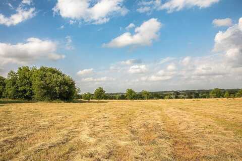 2300 Mcnelly Lane, Burton, TX 77835
